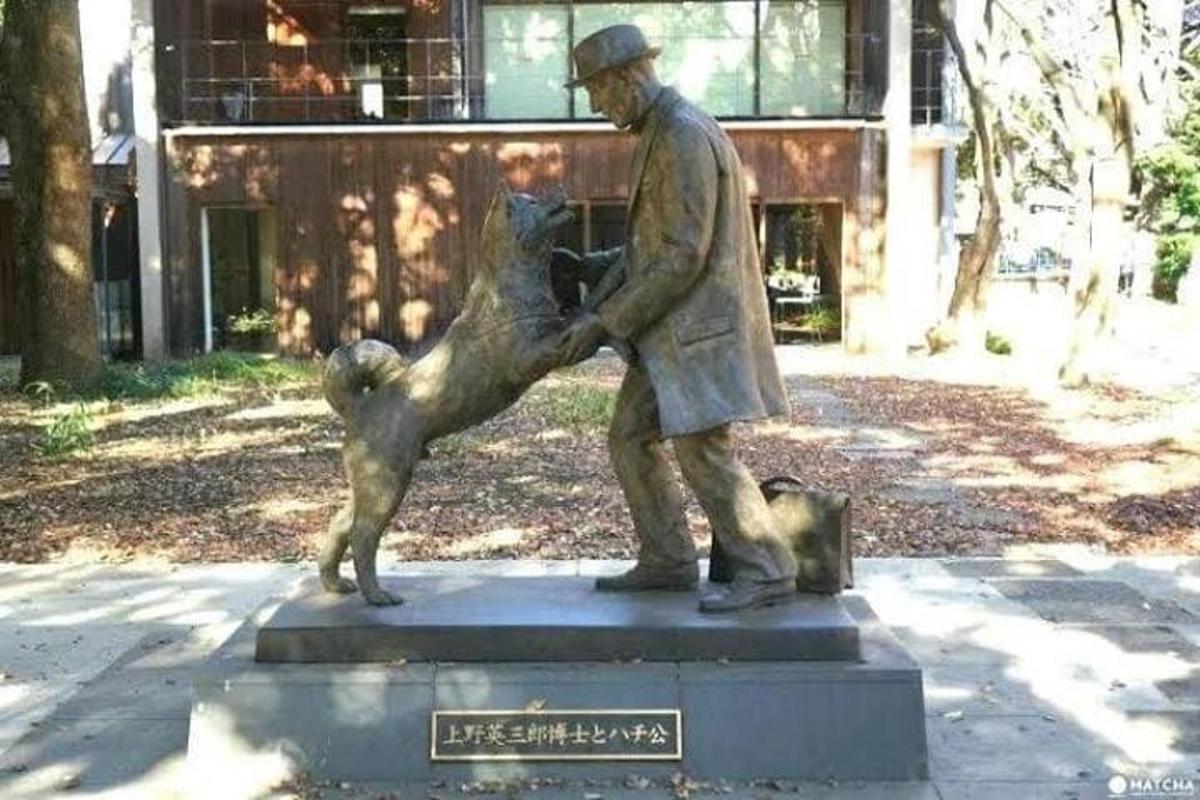 o statuie a unui bărbat și a unui câine