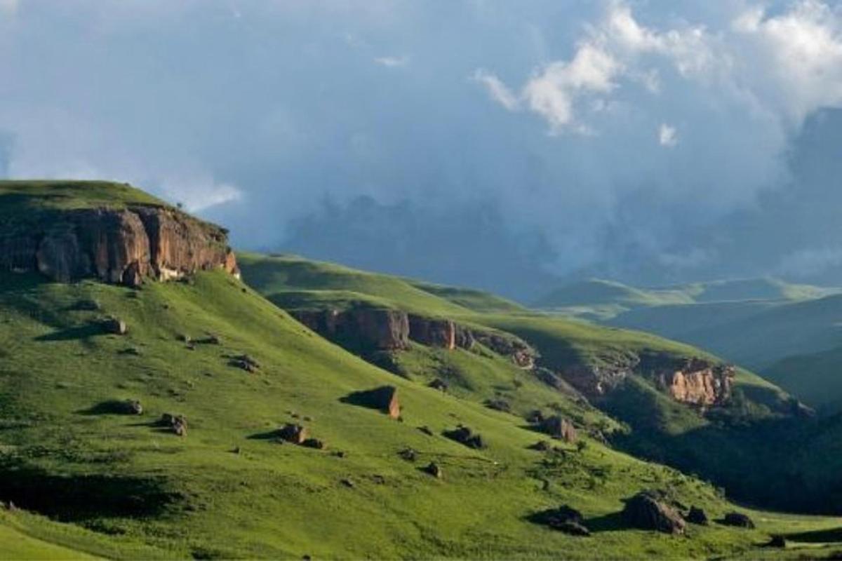 a green grassy hill with a mountain in the background