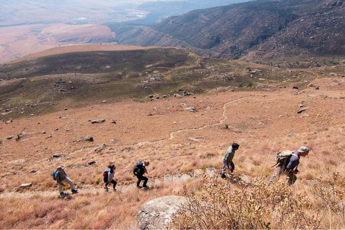 a group of people walking on a hill