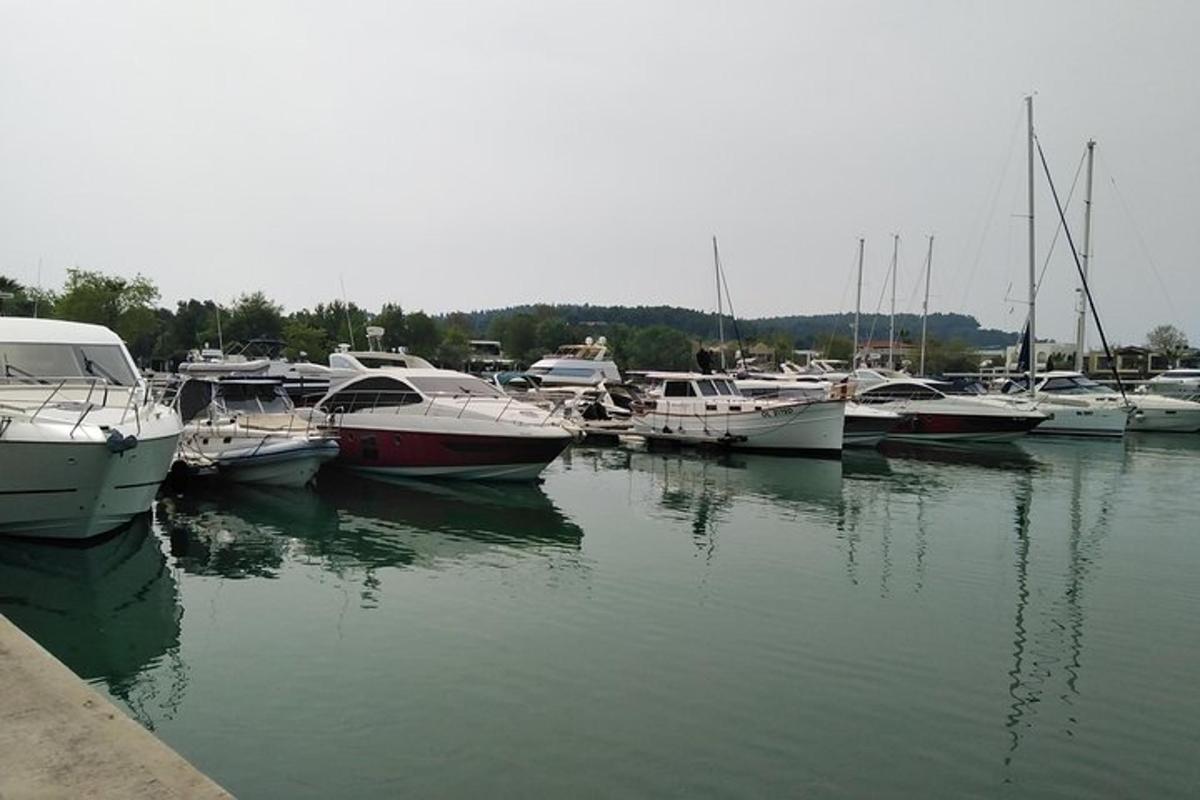 un grup de bărci acostate într-un port