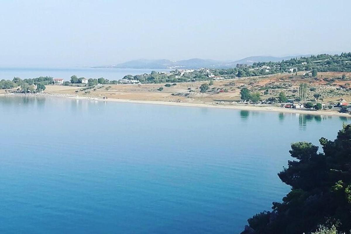 ένα μεγάλο υδάτινο σώμα με μια παραλία στο φόντο