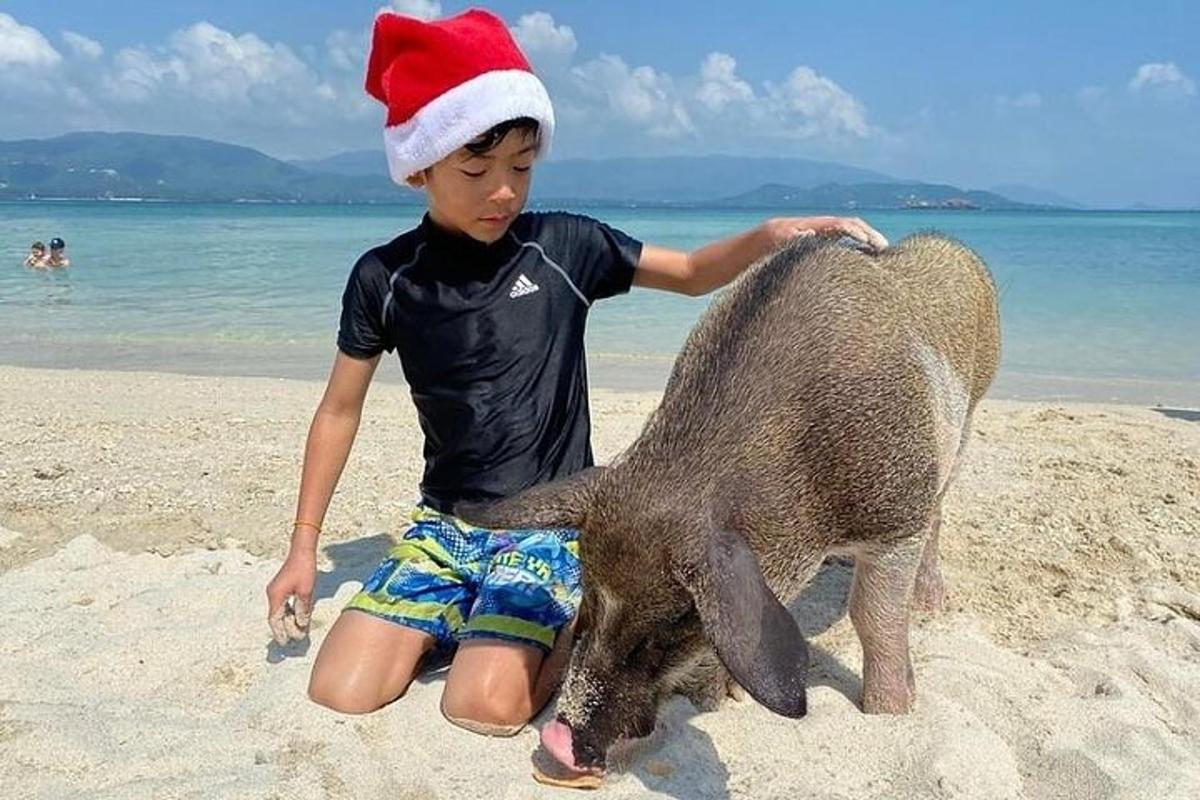 沙滩上，一个戴着圣诞帽的小男孩和一只小猪