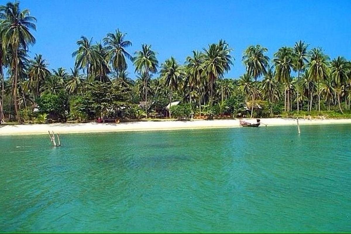 a beach with palm trees and a boat in the water