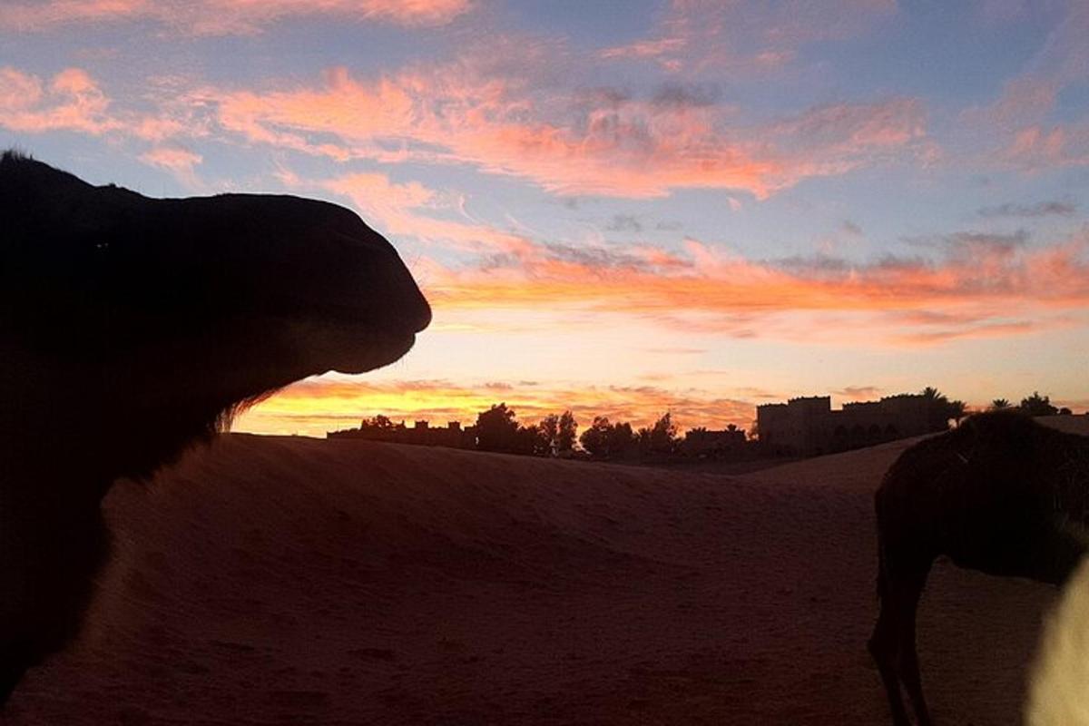 en silhuett av en person i ørkenen ved solnedgang