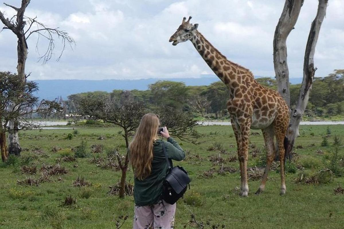 a woman taking a picture of a giraffe