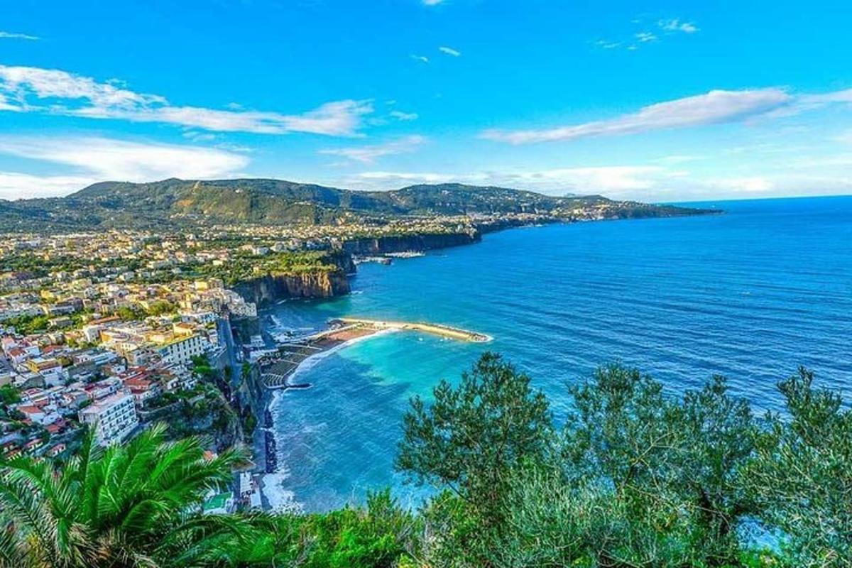 una vista aerea di una spiaggia e dell'oceano