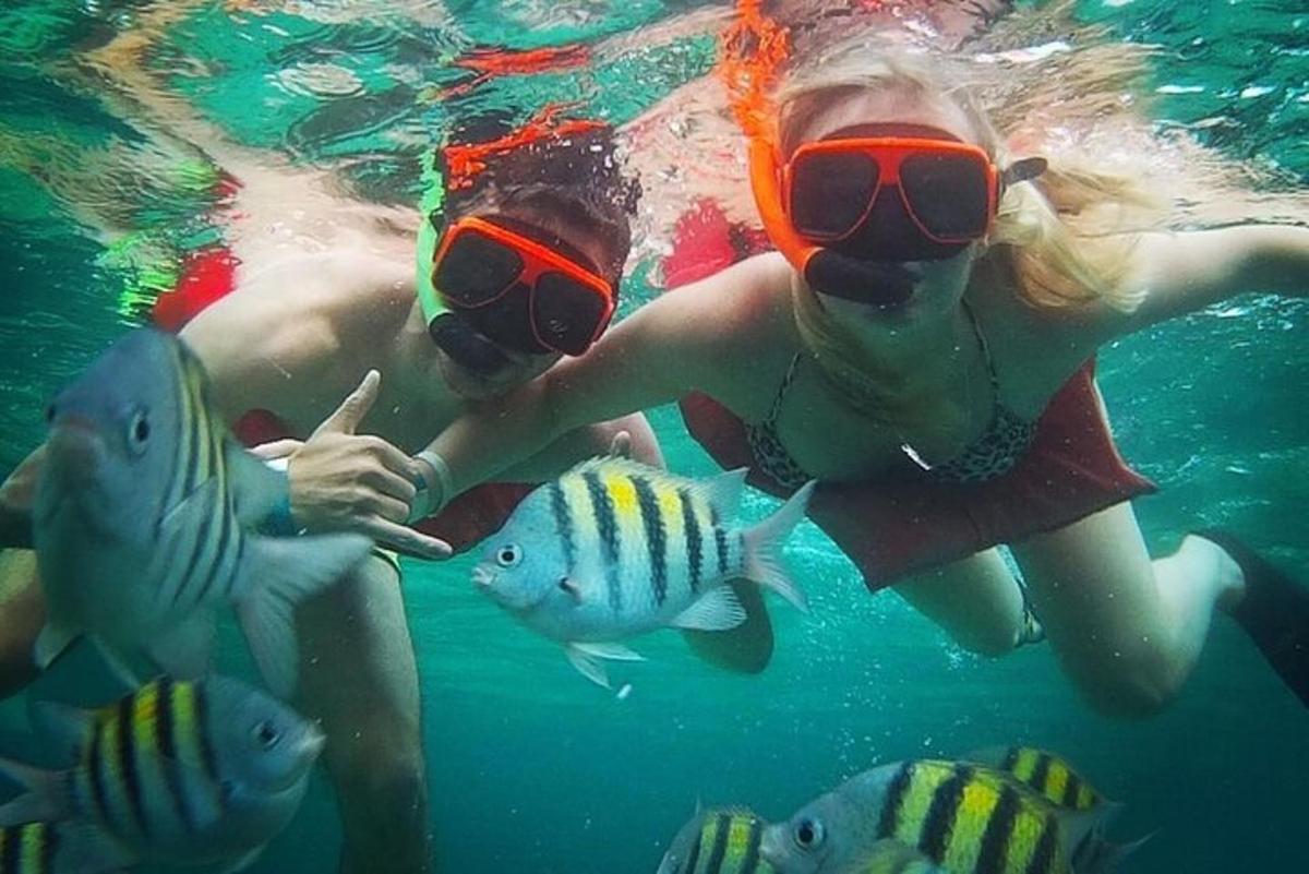Un grupo de personas en el agua con peces.
