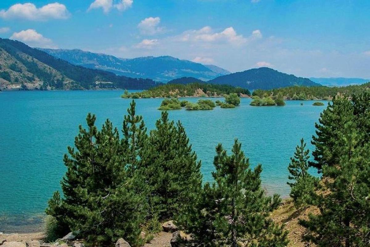 a large body of water with trees and mountains