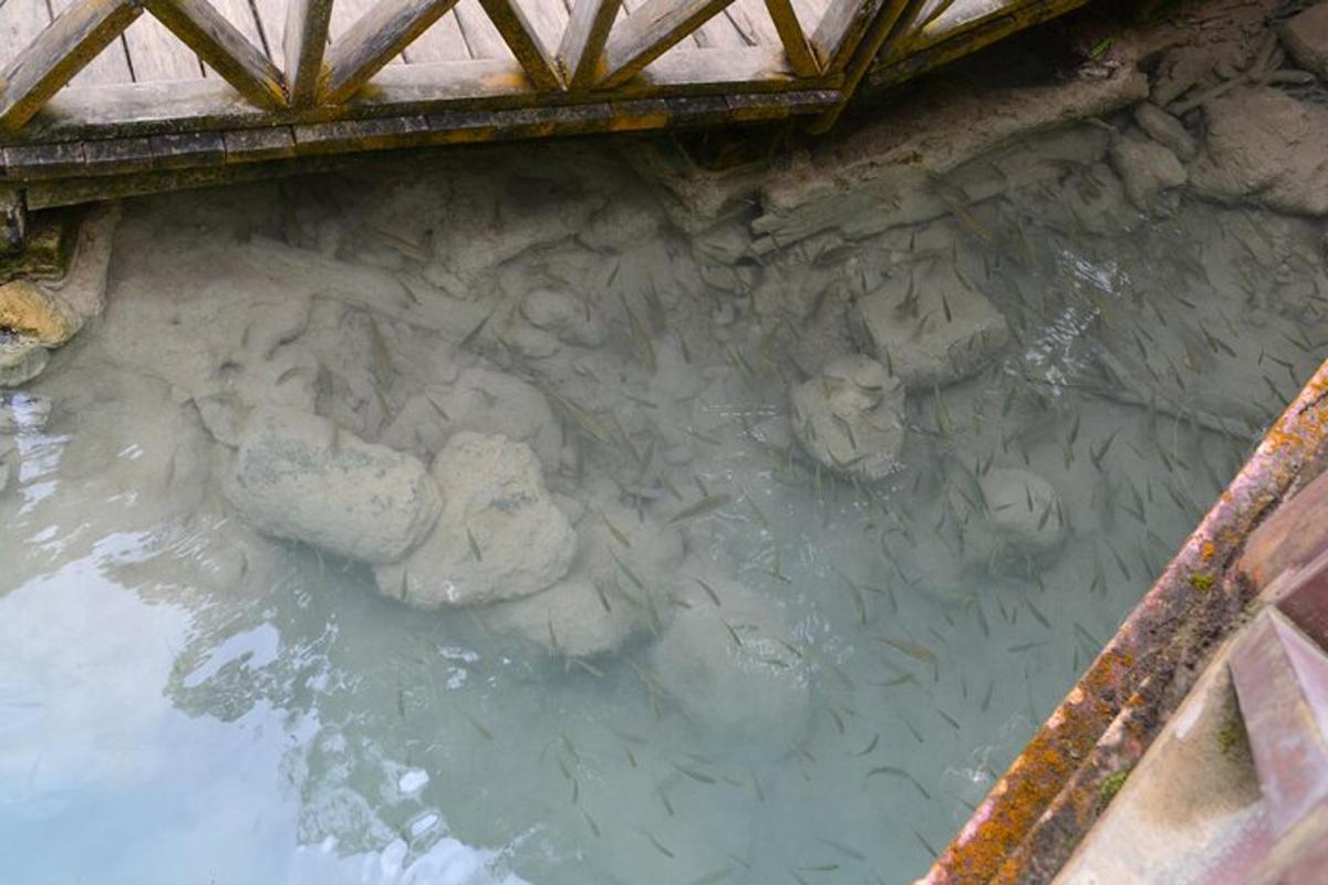 a pool of water with some rocks in it