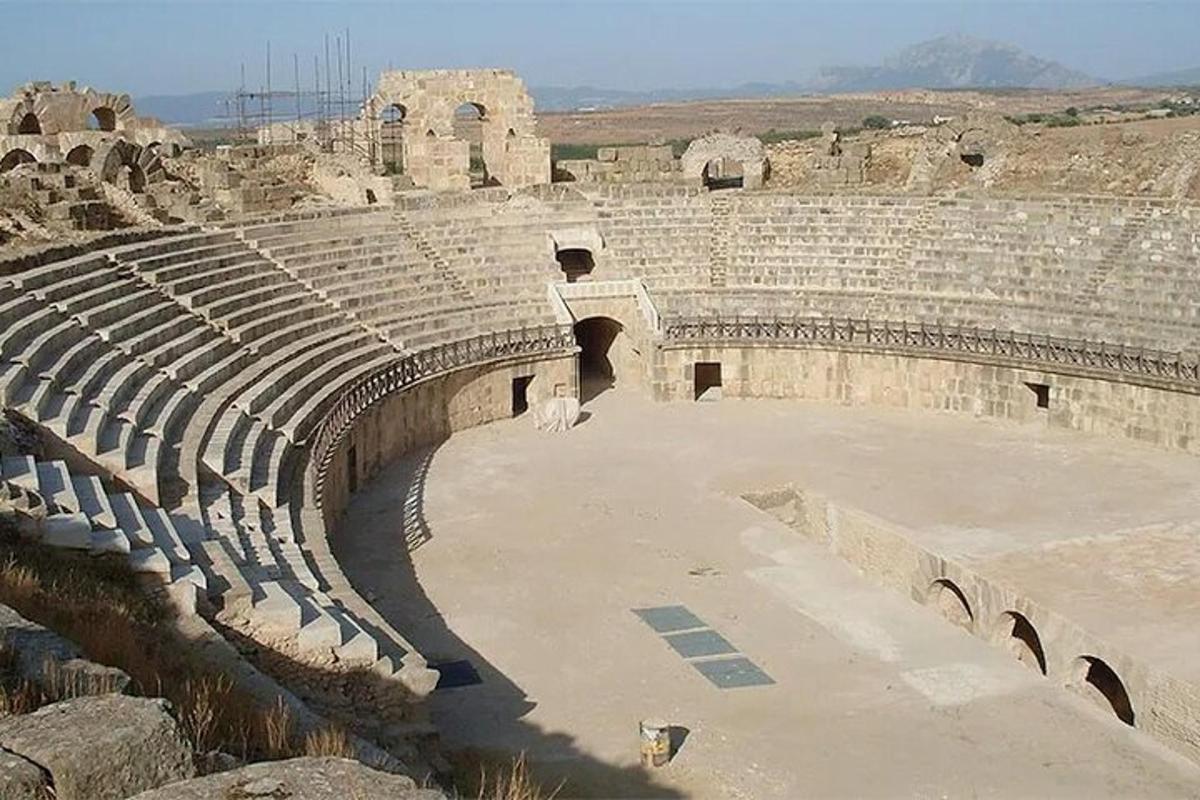 an empty amphitheater with a dog sitting in it