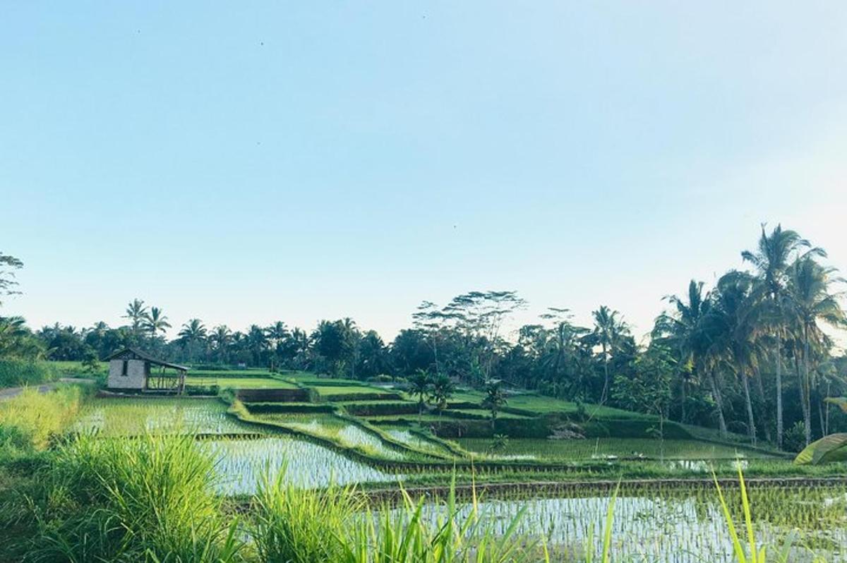 a field with a house in the middle of a river