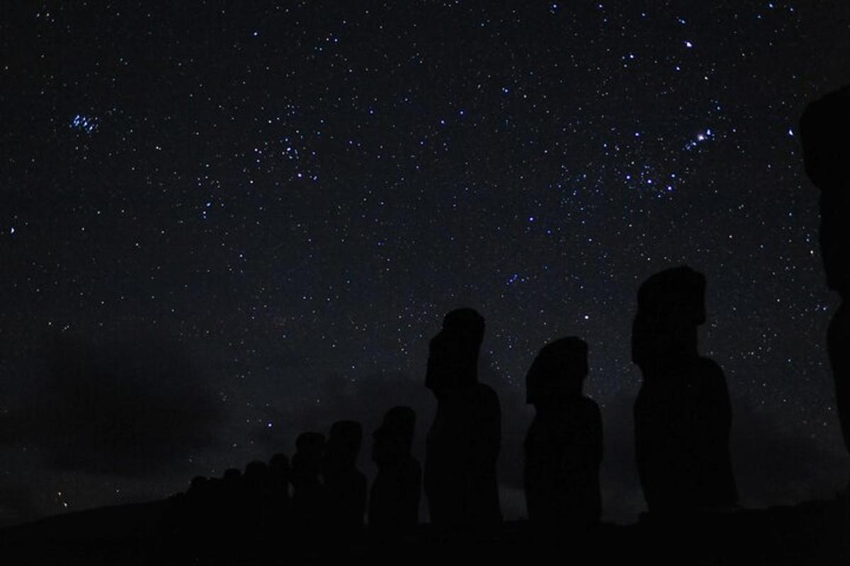 a group of people looking up at the stars