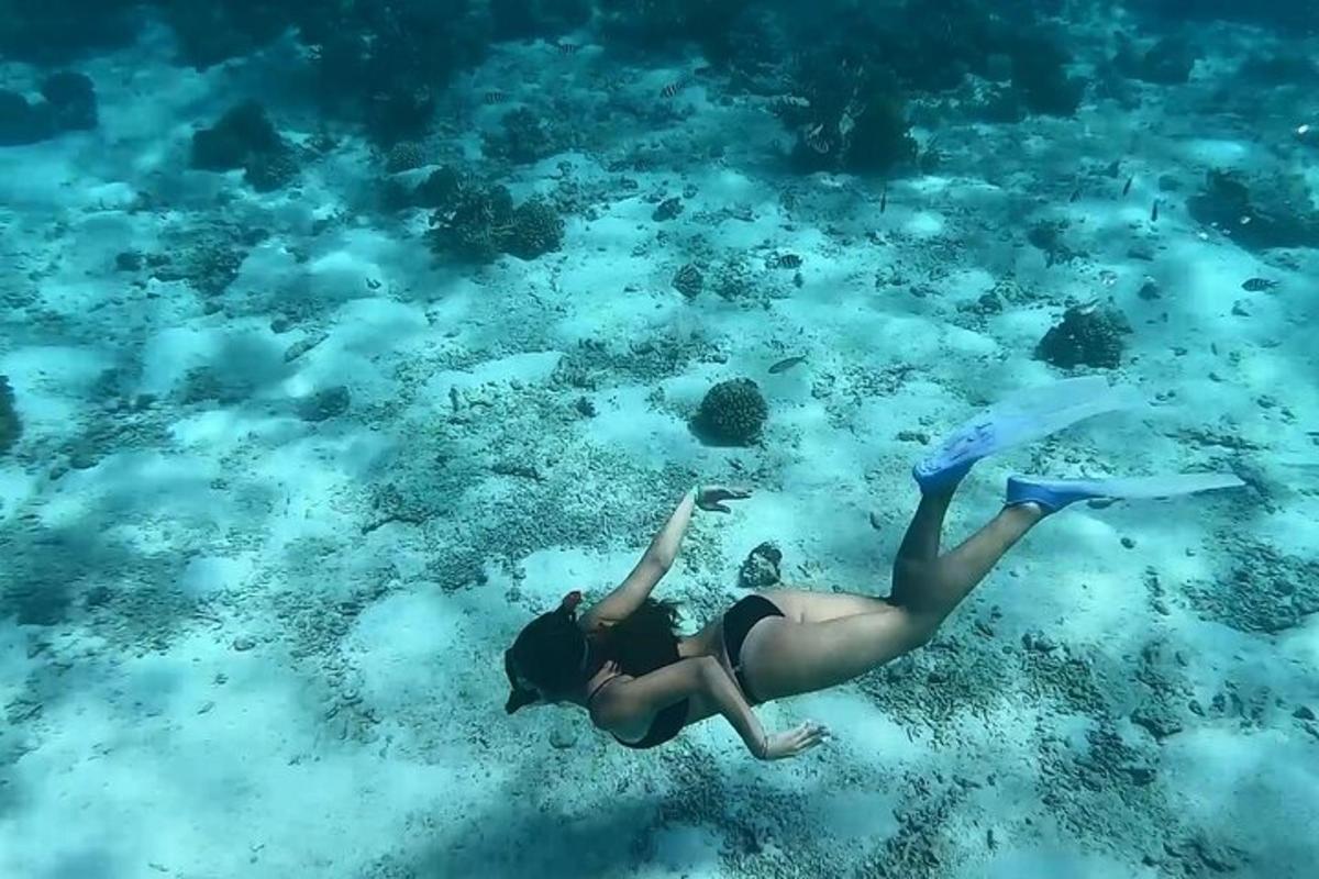 seorang wanita sedang berenang di lautan