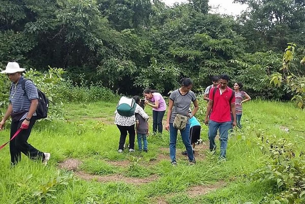 un grup de persones caminant per un camp