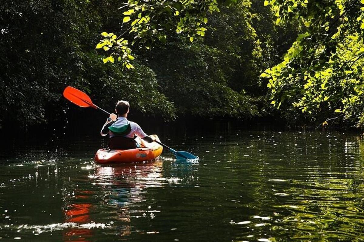 un ragazzino sta pagaiando un kayak in acqua