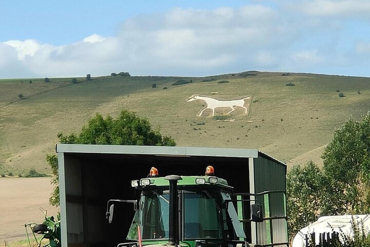 um caminhão verde com um cavalo branco em uma colina