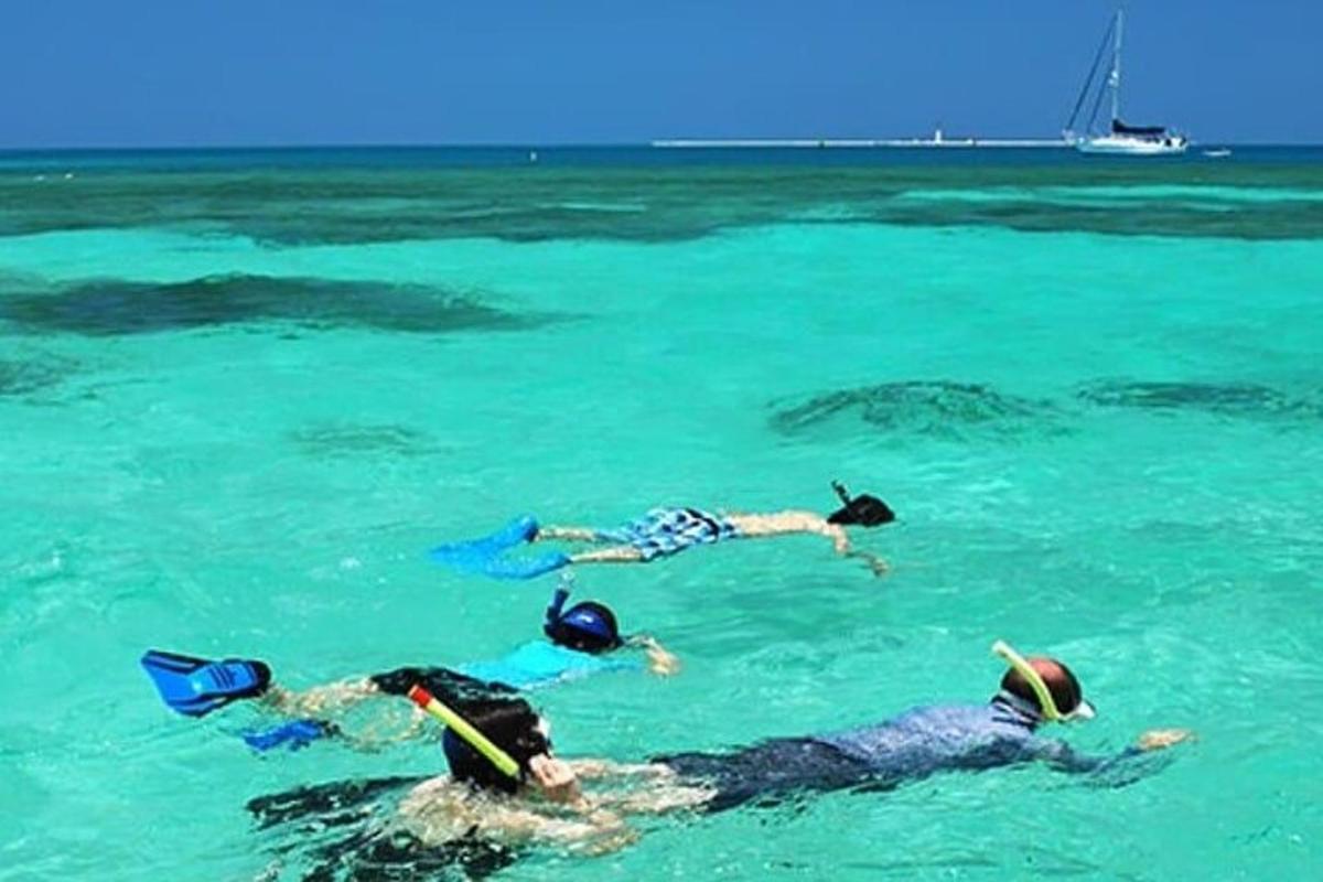 un grupo de personas nadando en el océano