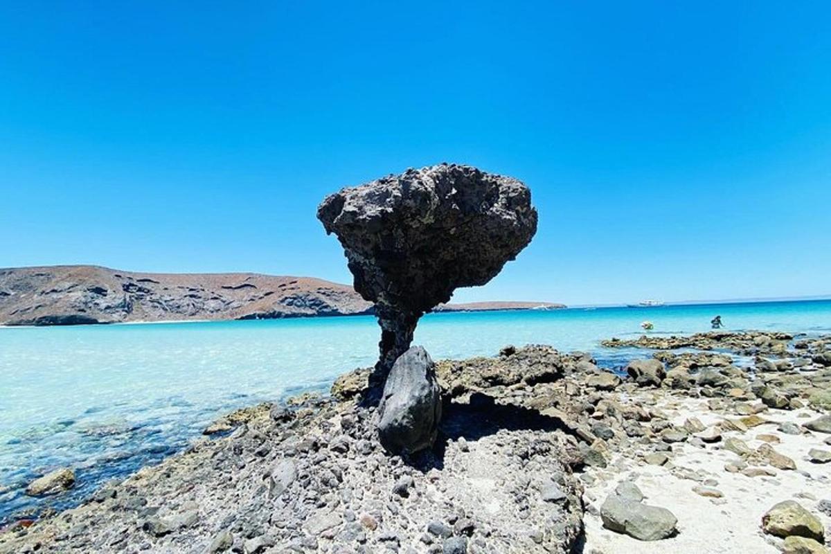 skala na plaži z vodo