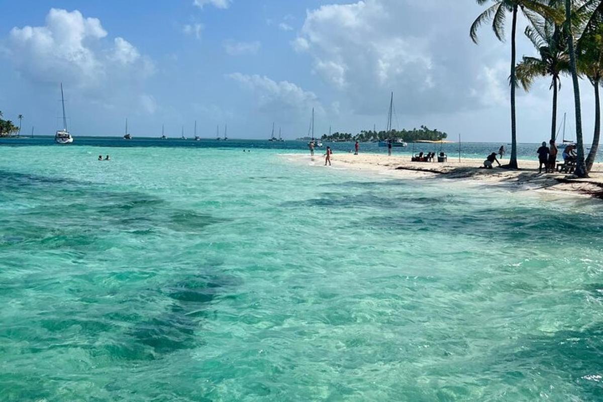 a beach with a group of people in the water