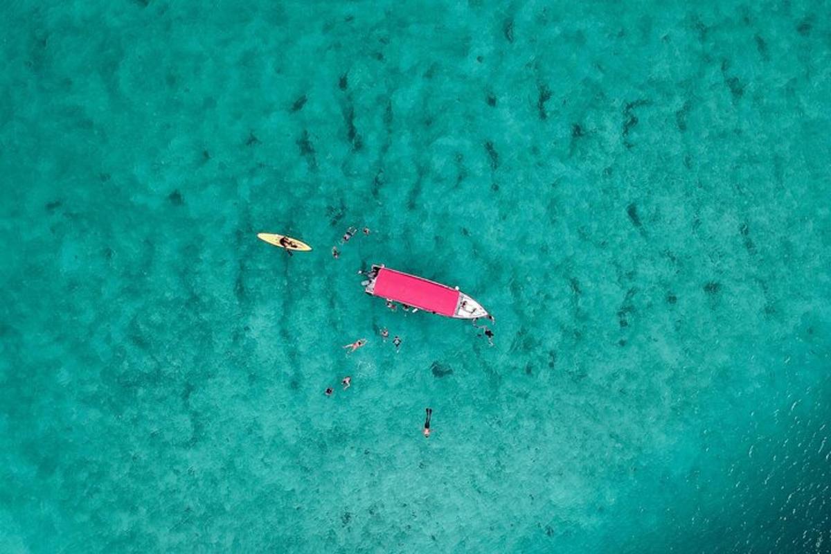 an overhead view of people swimming in the ocean