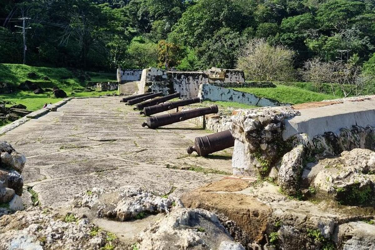 una fila di cannoni posizionati in cima a un campo