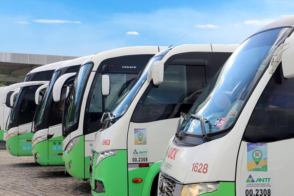 a row of buses parked in a parking lot