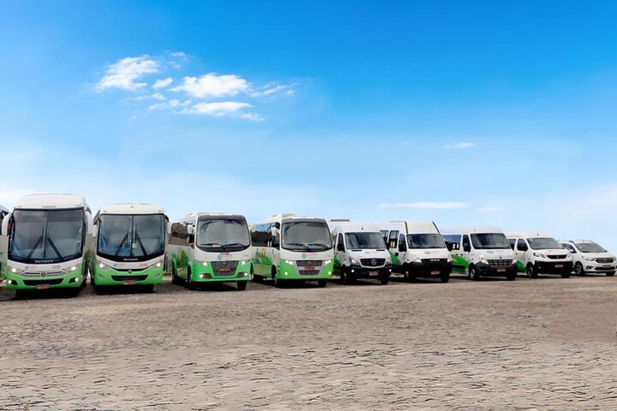 a row of buses parked in a parking lot