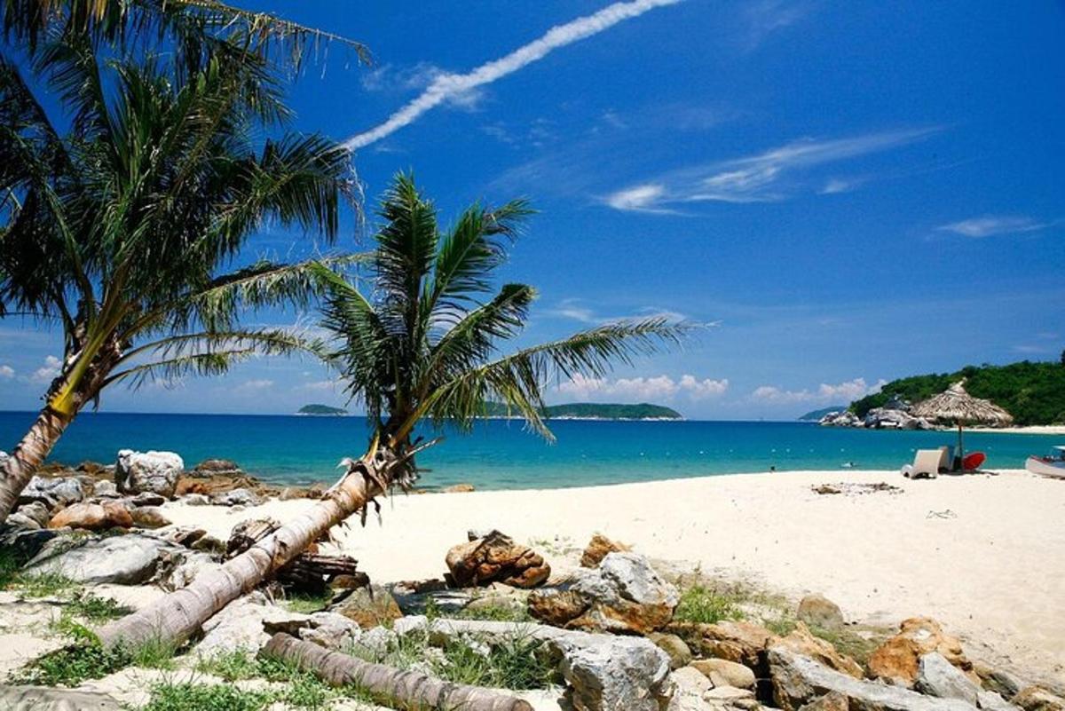 ein Strand mit zwei Palmen und dem Meer