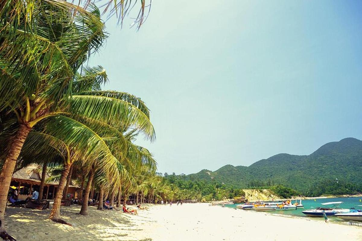 ein Strand mit Palmen und Booten im Wasser