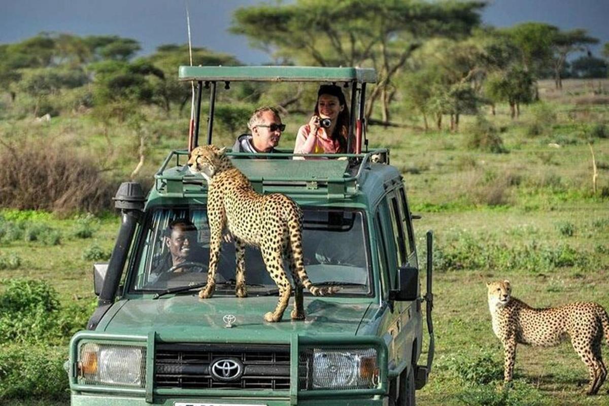 sekumpulan orang yang menaiki kenderaan dengan cheetah