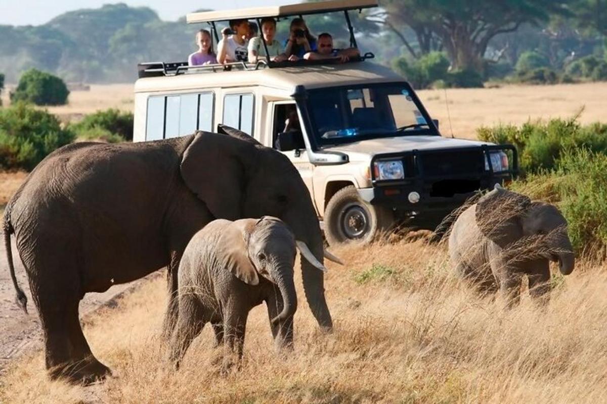 sekumpulan orang menaiki kenderaan dengan dua ekor gajah