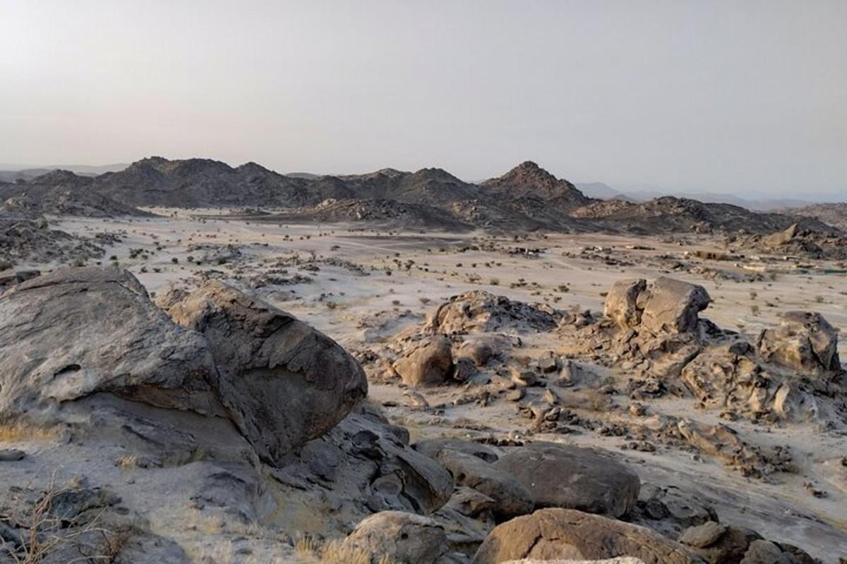 a desert with rocks and mountains in the background
