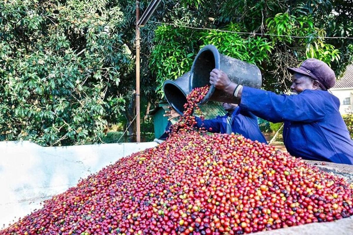 a man is standing next to a pile of fruit