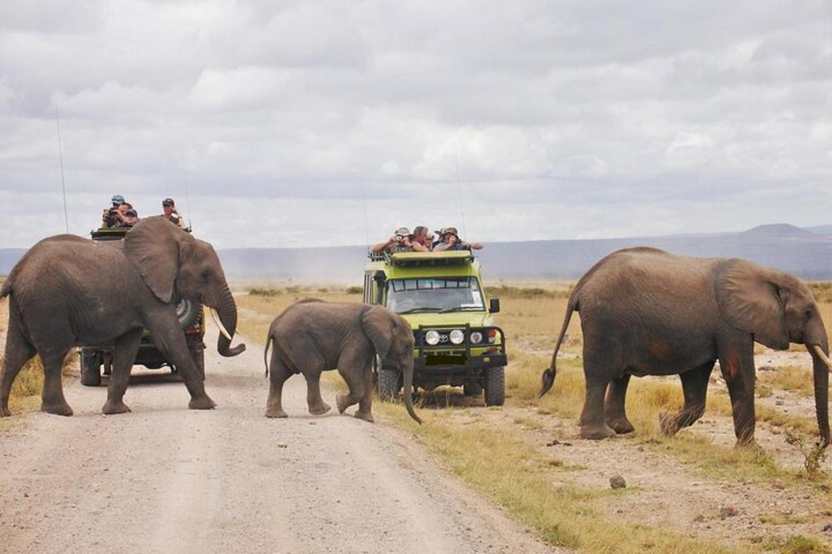 a herd of elephants crossing a road in front of a truck