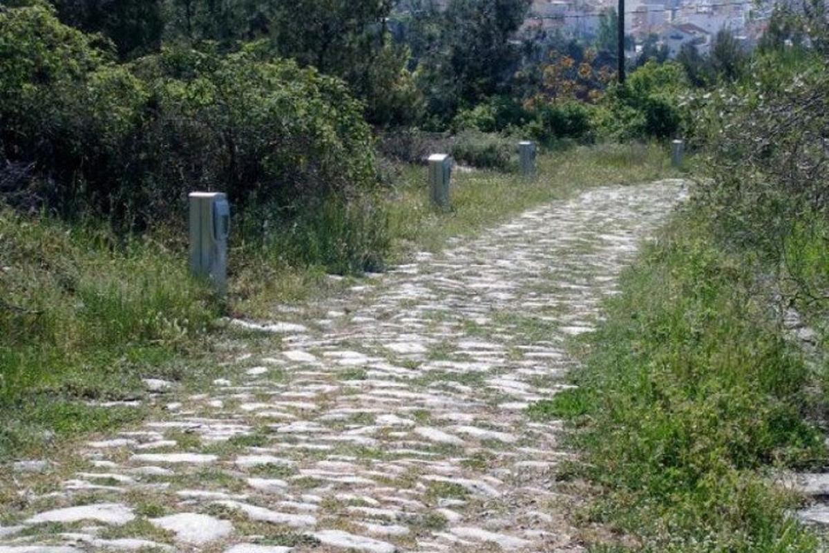 ένας χωματόδρομος σε ένα χωράφι με γρασίδι και θάμνους