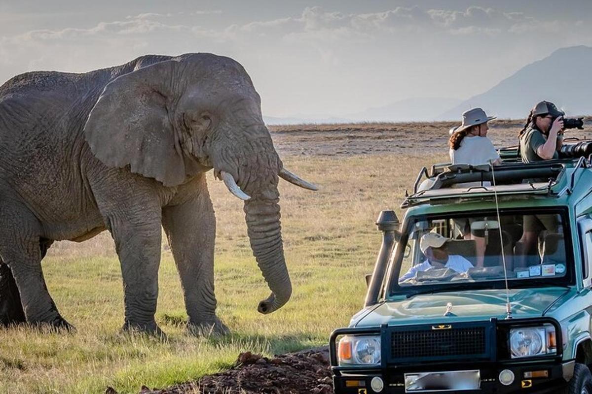 Un grupo de personas en un vehículo mirando un elefante.