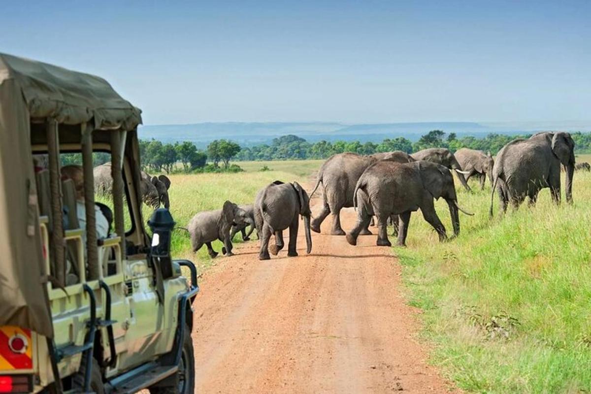 uma manada de elefantes atravessando uma estrada de terra ao lado de um veículo