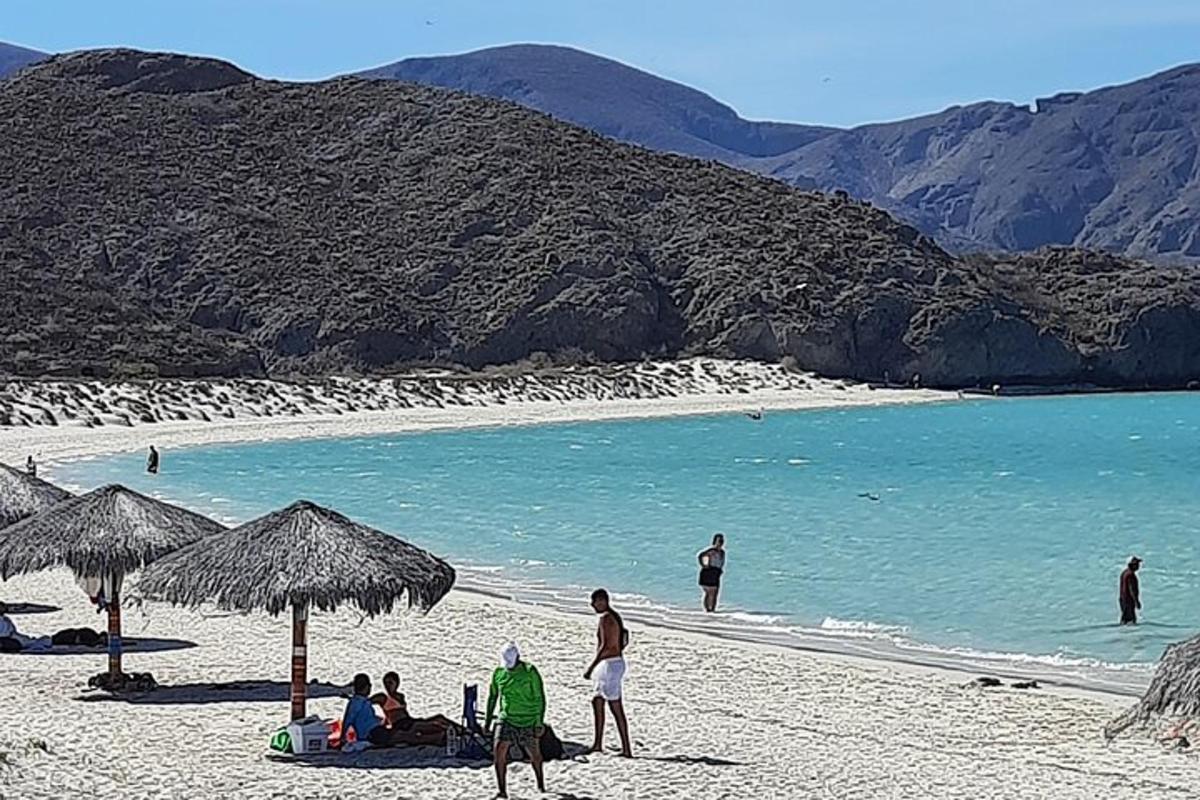 skupina ljudi na plaži s senčniki