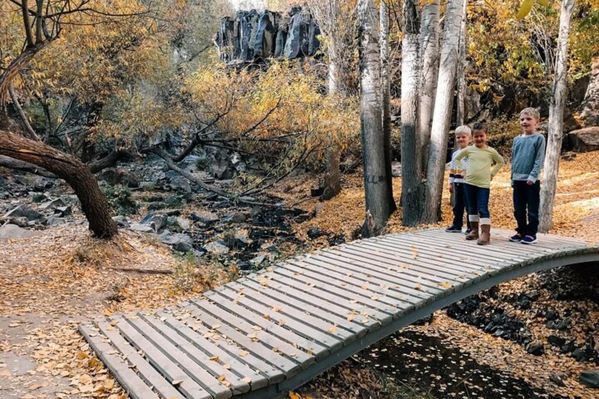 kaks poissi seisavad metsas puusillal