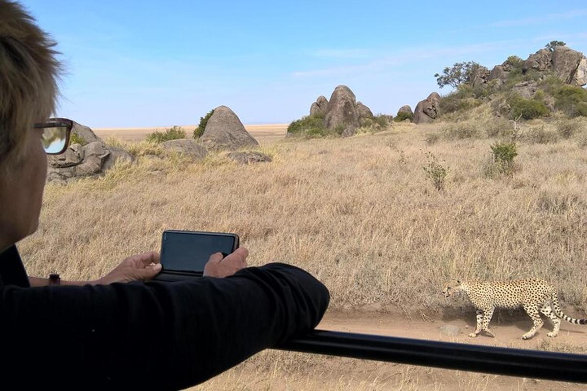 um homem tirando uma foto de um leopardo de um ônibus