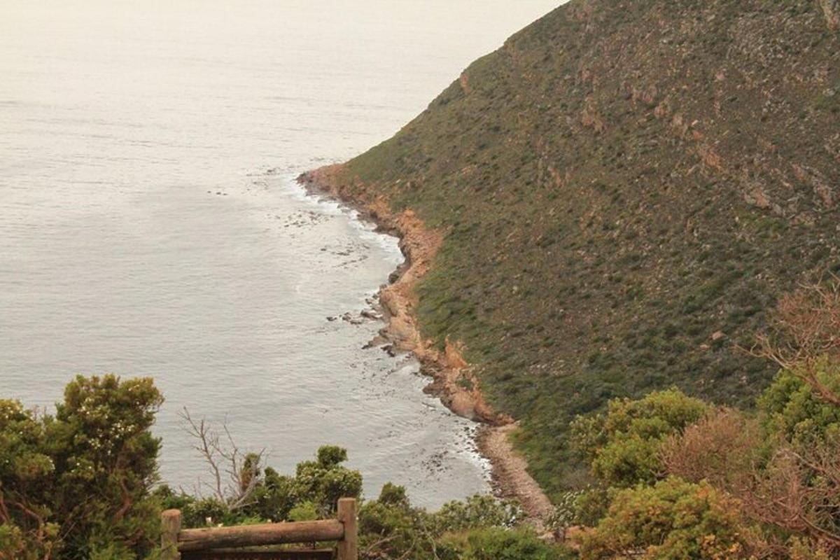 o vedere a oceanului de pe un deal