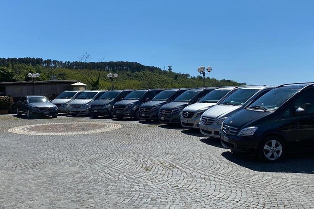 parklas pargitud autode rida