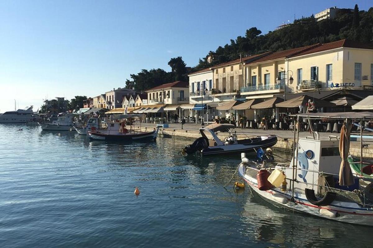 un grup de vaixells estan atracats en un port