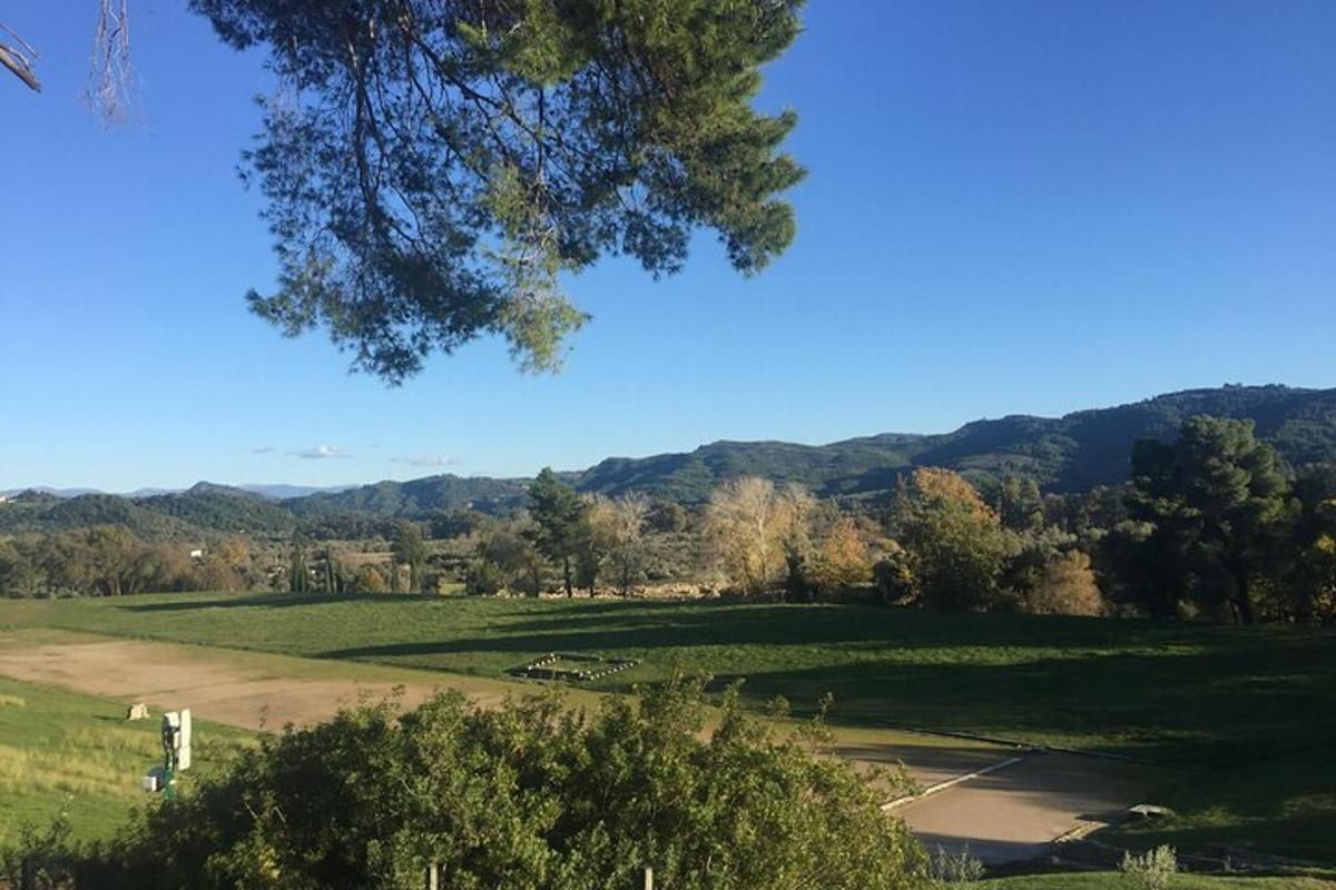 un camp verd amb arbres i muntanyes al fons
