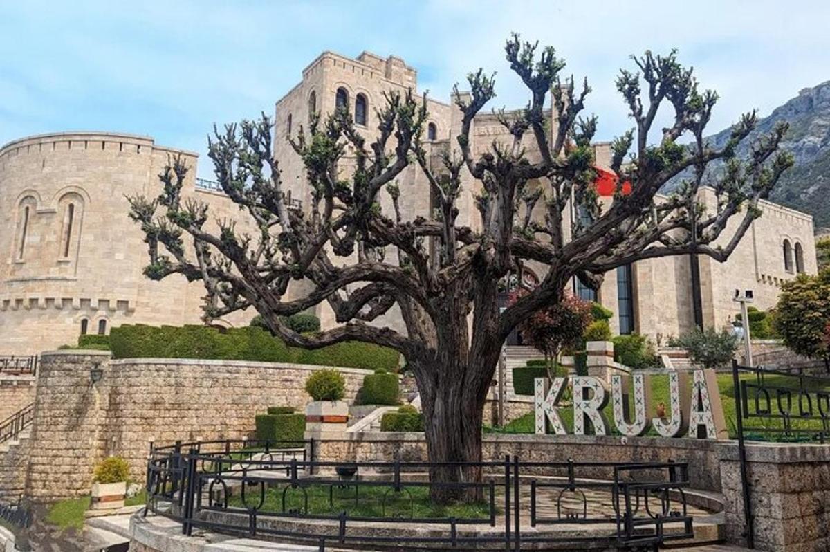 un grande albero di fronte a un edificio