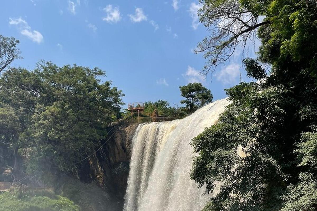 una cascada al vessant d'un turó amb arbres