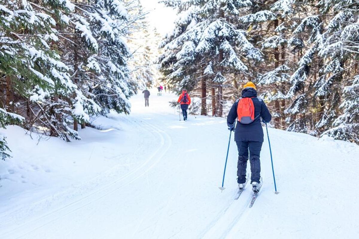 eine Person läuft beim Langlaufen eine schneebedeckte Loipe hinunter