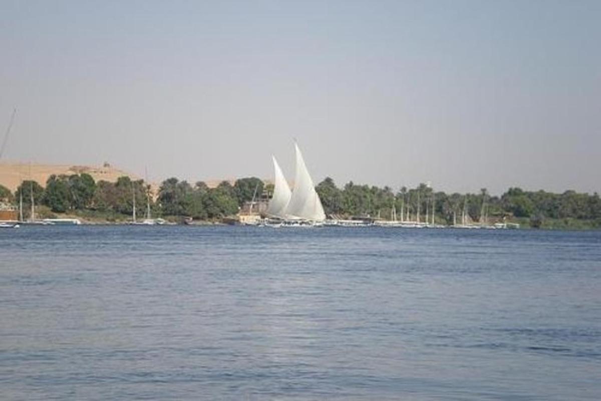 una barca a vela con una vela bianca sull'acqua