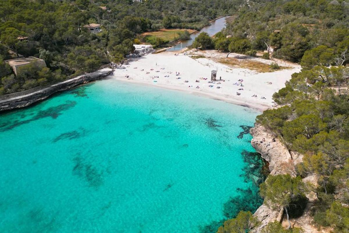 vista aèria d'una platja amb gent