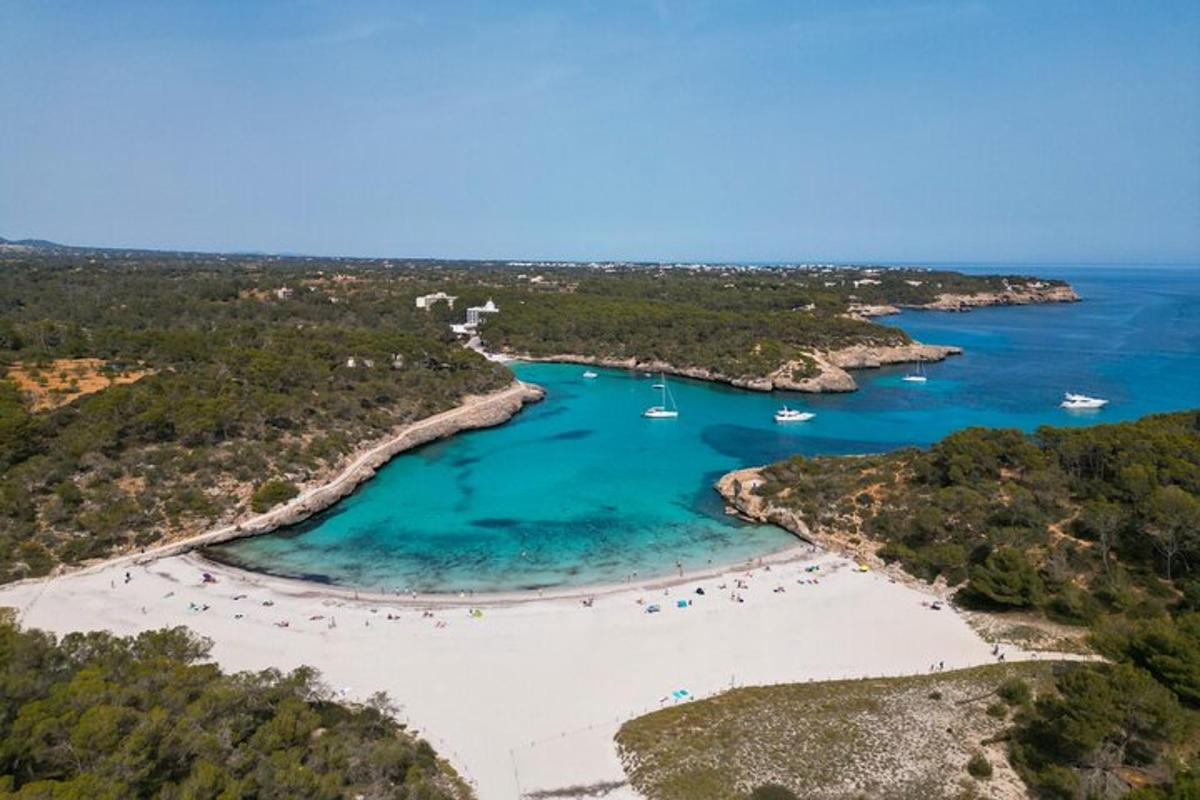 vista aèria d'una platja amb vaixells a l'aigua